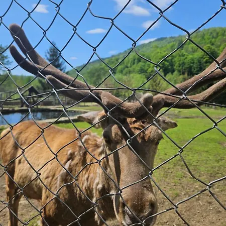 Садиба,Едемский Сад Holiday home Krasna (Transcarpathia)