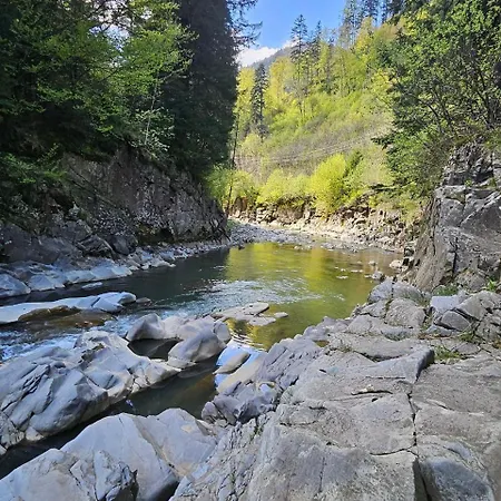 Садиба,Едемский Сад Holiday home Krasna (Transcarpathia)